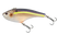 Chartreuse Threadfin Shad