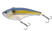 Natural Threadfin