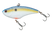 Sexy Shad