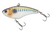 Threadfin Shad