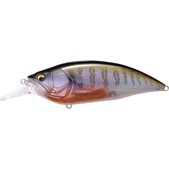MEGABASS BIG-M 4.0 - Copperstate Tackle