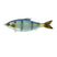 Chrome Threadfin