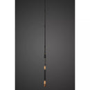 PHENIX ULTRA SWIMBAIT CLASSIC CASTING RODS-2