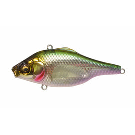 MEGABASS VIBRATION-X ULTRA (RATTLE) - 0