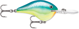 Buy caribbean-shad RAPALA DT SERIES CRANKBAITS / DT14 - DT20