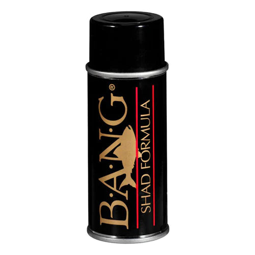 BANG FISH ATTRACTANT AEROSOL SPRAY
