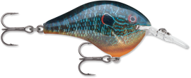 Buy live-pumpkinseed RAPALA DT SERIES CRANKBAITS / DT8 - DT10