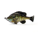 SAVAGE GEAR PULSE TAIL LB BLUEGILL SWIMBAIT - Copperstate Tackle
