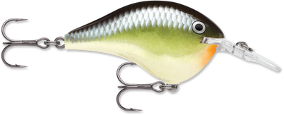 Buy smash RAPALA DT SERIES CRANKBAITS DT4-12