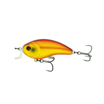 Buy brown-eye-special 6TH SENSE SWANK SERIES