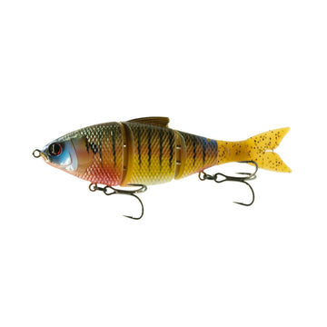 Buy cajun-gill 6TH SENSE TRACE 5"