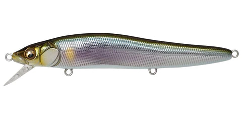 MEGABASS VISION ONE TEN R SERIES