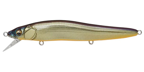 MEGABASS VISION ONE TEN R SERIES