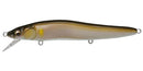 MEGABASS VISION ONE TEN R SERIES-9