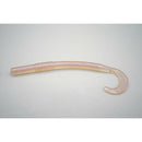 ARIZONA CUSTOM BAITS CURLY TAIL WORM - Copperstate Tackle