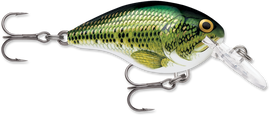 Buy baby-bass RAPALA DT SERIES CRANKBAITS / DT8 - DT10