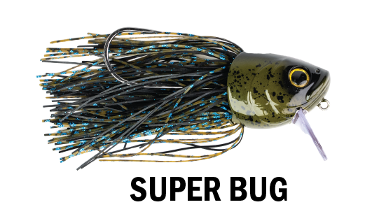 G-RATT FIGHTING FISH