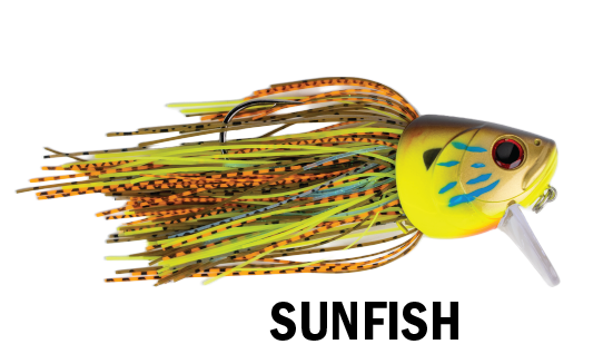 G-RATT FIGHTING FISH