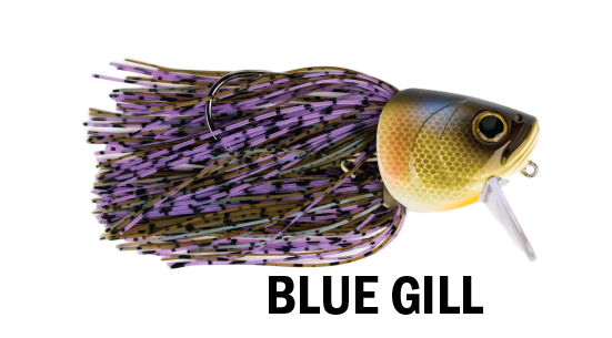 G-RATT FIGHTING FISH