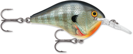 Buy bluegill RAPALA DT SERIES CRANKBAITS / DT8 - DT10