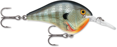 Buy bluegill RAPALA DT SERIES CRANKBAITS DT4-12