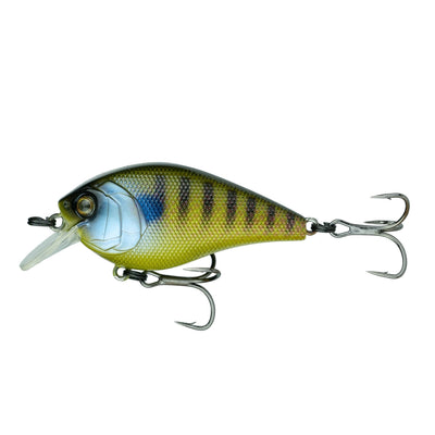 Buy gillikin 6TH SENSE CRUSH 100X SERIES