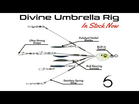 6TH SENSE DIVINE UMBRELLA RIG-6