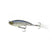 Ghost Bone Minnow