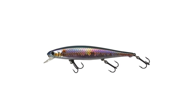 MS American Shad | Copperstate Tackle MS American Shad | Copperstate Tackle