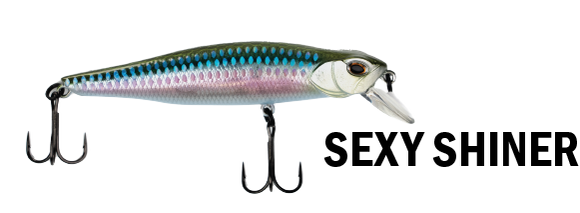 G-RATT BAITS GB-100Sp JERKBAIT