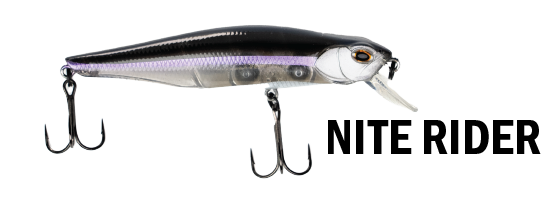 G-RATT BAITS GB-100Sp JERKBAIT