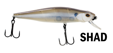 G-RATT BAITS GB-100Sp JERKBAIT