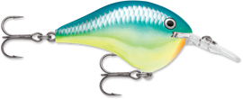 Buy caribbean-shad RAPALA DT SERIES CRANKBAITS / DT8 - DT10
