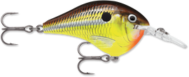 Buy hot-mustard RAPALA DT SERIES CRANKBAITS / DT8 - DT10