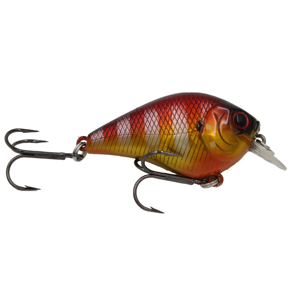 excludes shimano/daiwa/loomis/st.croix/evergreen | Page 36
