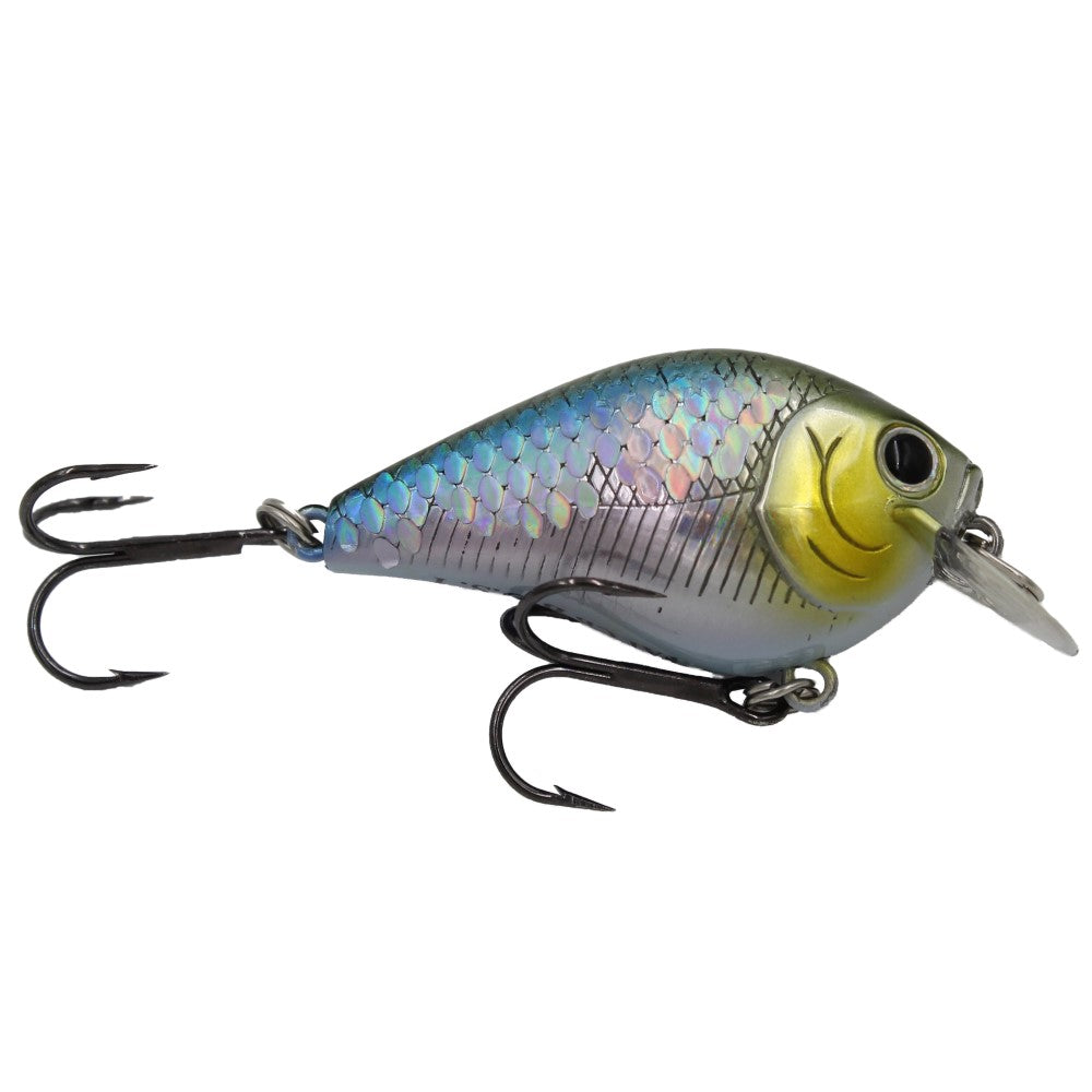 excludes shimano/daiwa/loomis/st.croix/evergreen | Page 36
