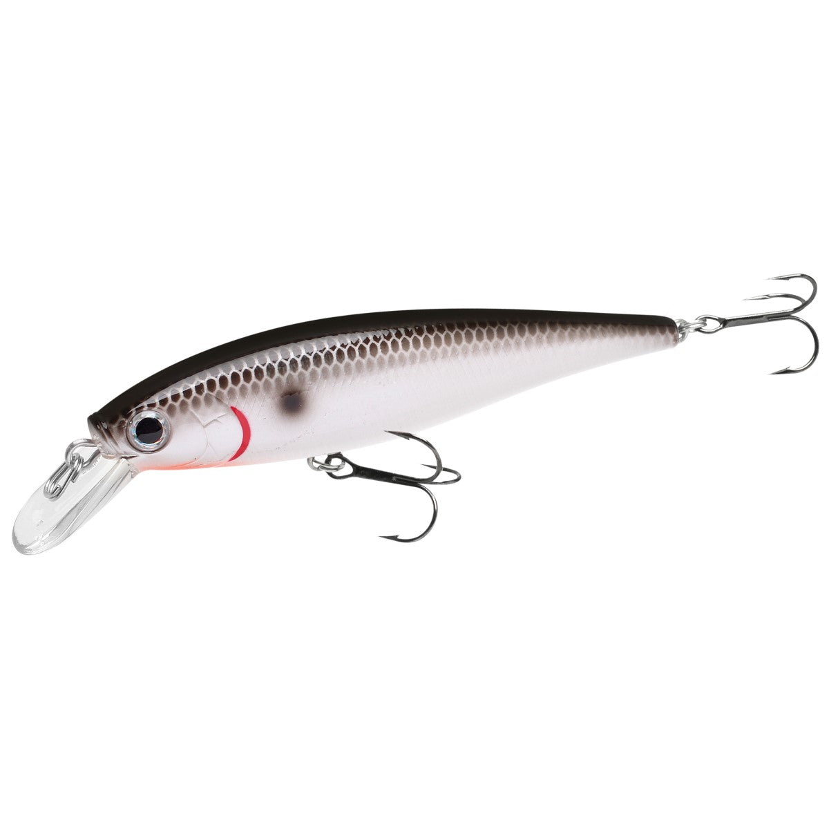 Buy og-tennessee-shad LUCKY CRAFT POINTER 78 SP