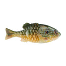 BERKLEY POWERBAIT GILLY - Copperstate Tackle