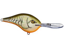 Buy rootbeer-crawdad RAPALA DT SERIES CRANKBAITS / DT14 - DT20