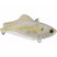 Chartreuse Shad