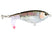 HD Rainbow Trout