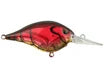 Buy ghost-red-craw BERKLEY DIME 6 CRANKBAIT