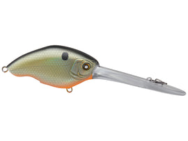 Buy black-back-gold NISHINE CHIPPAWA XDD CRANKBAIT