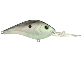 Buy green-shad BERKLEY DREDGER