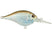HD Blue Back Herring