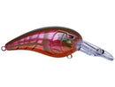 SPRO RKCRAWLER MD 55 CRANKBAIT-1
