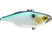 Sparkle SS Shad