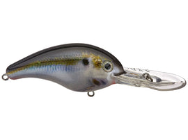 Buy natural-shad STRIKE KING PRO MODEL 5XD CRANKBAITS