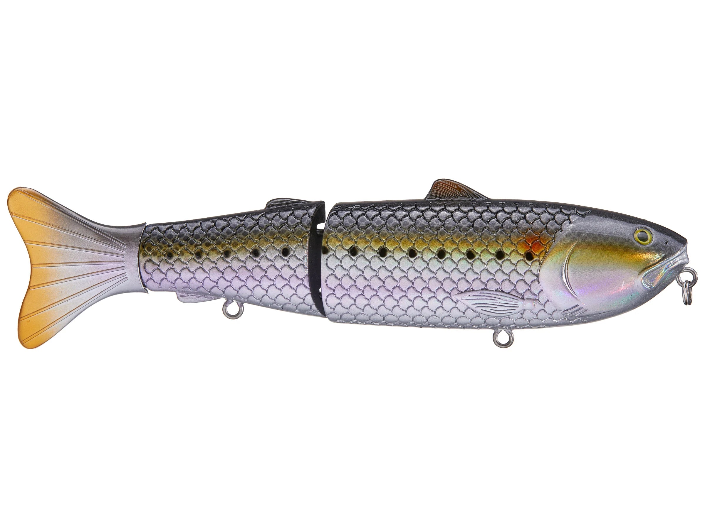 Buy sardine BAITSANITY ANTIDOTE 7 GLIDE BAIT