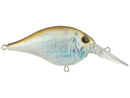 BERKLEY DIME 4 CRANKBAIT-10